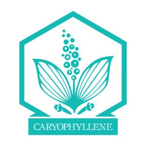 caryophyllene terpene logo